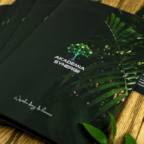 Akademia Synergi